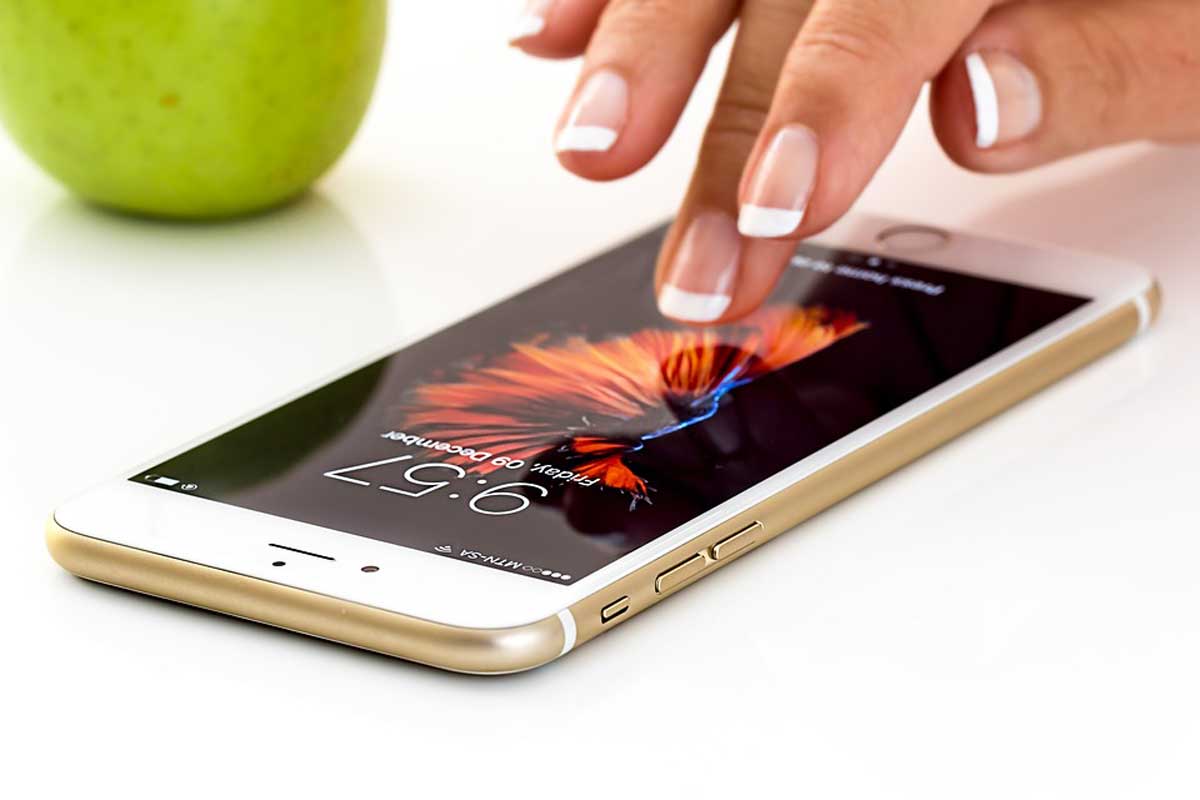 Эксперты Роскачества определили, какой смартфон круче Samsung или iPhone: ТОП-10 лучших моделей