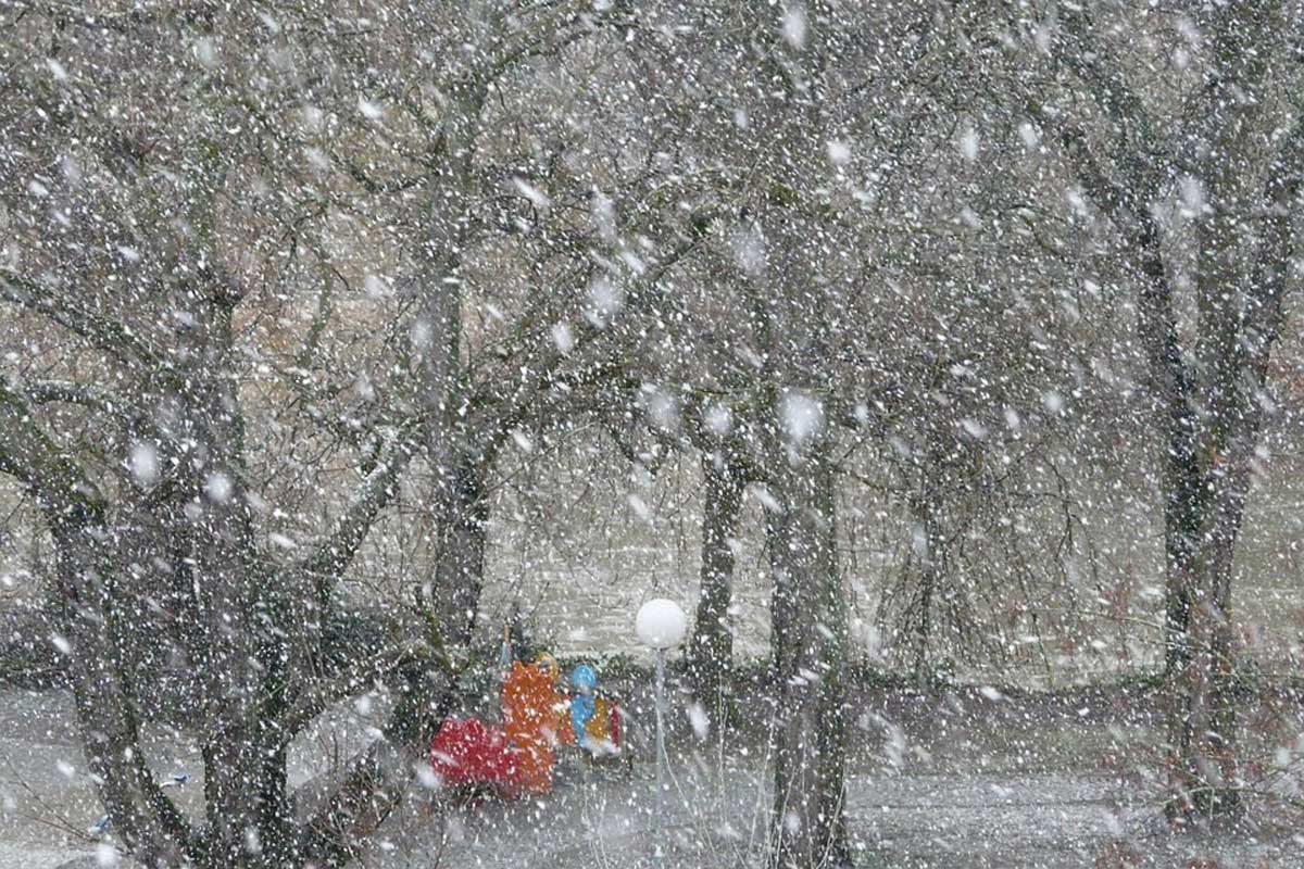 Мокрый снег, метель и гололед: синоптики напугали жителей Краснодарского края прогнозом погоды