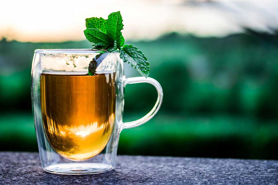 Краснодарский чай российские туристы считают самым вкусным, а Кубань – самым чайным регионом