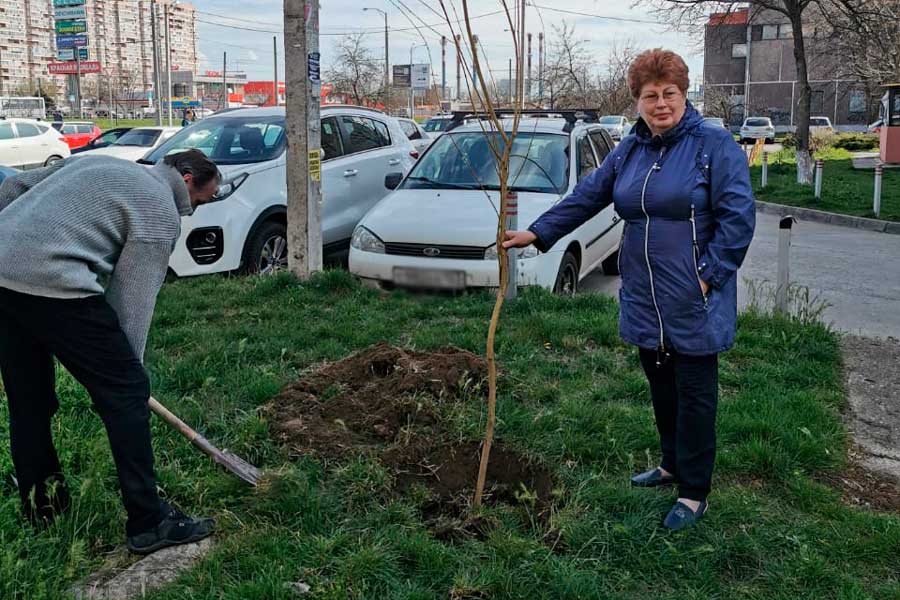 Здесь будет город-сад: на Энке активисты высадили молодые саженцы деревьев