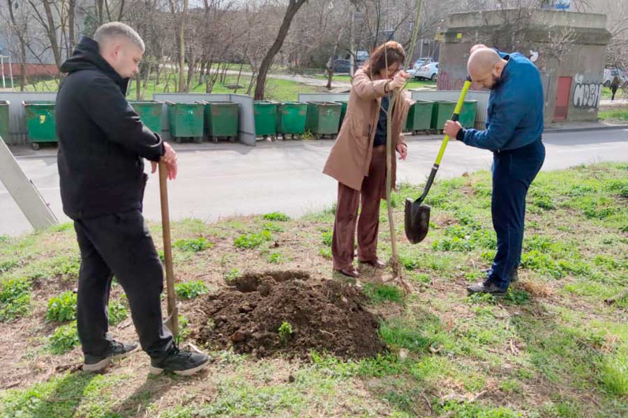 Здесь будет город-сад: на Энке активисты высадили молодые саженцы деревьев